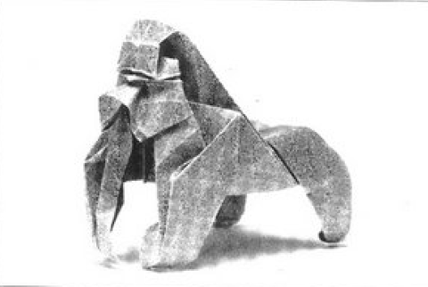 Gorilla