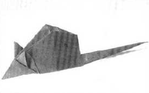Rat