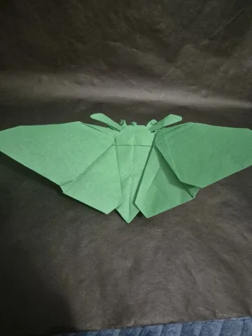Moth — сложил Дмитрий Тукибаев