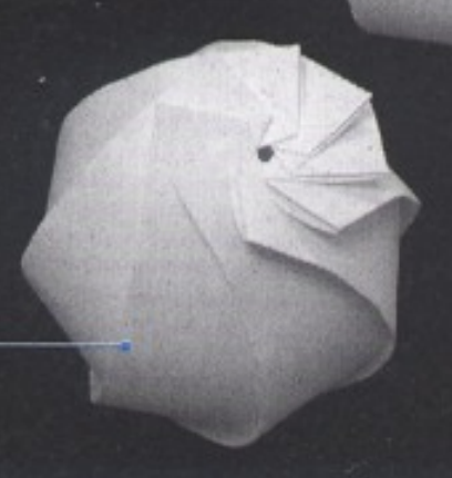 Spherical Wrapping with 8 blades