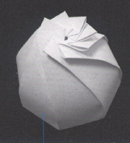 Hemispherical Gift Box with 8 Feathers