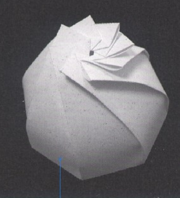 Hemispherical Gift Box with 8 Feathers