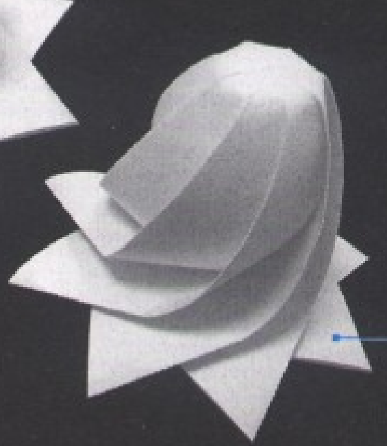 Egg-Shaped Wrapping