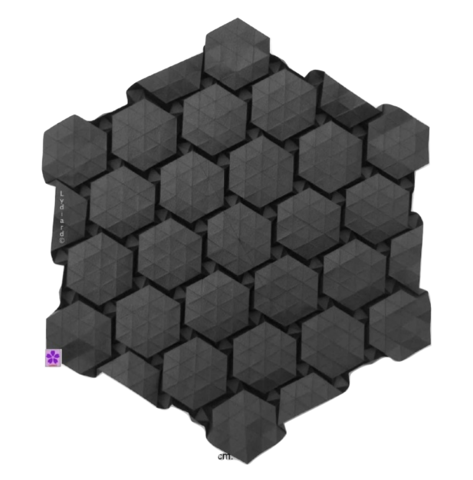 Tessellation Evidence