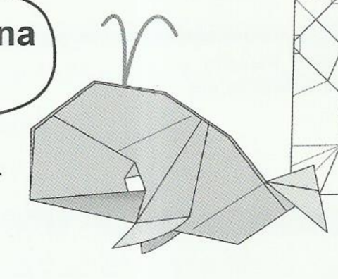 Whale