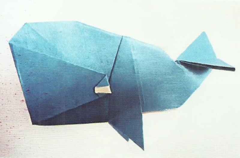 Whale