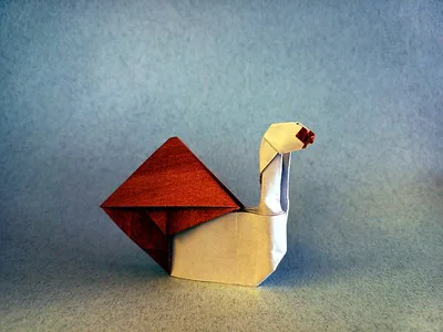 Snail