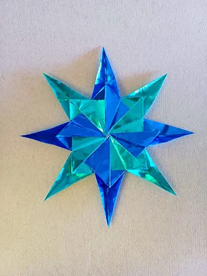Sun star