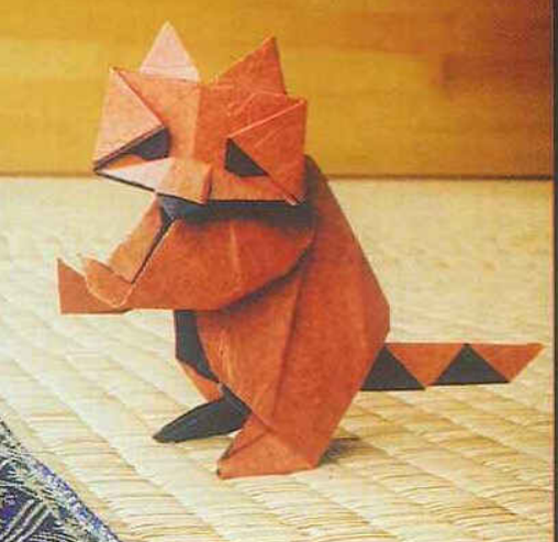 Raccoon