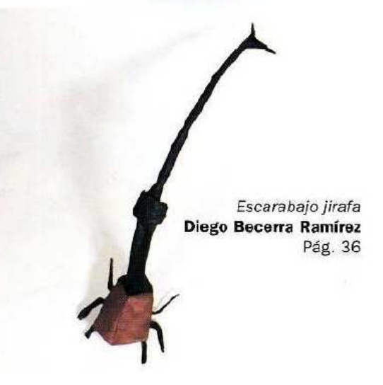 Giraffe beetle