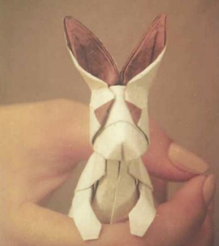 Rabbit