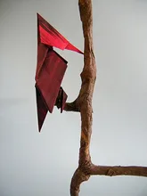 Woodpecker