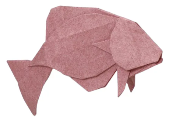 Goldfish