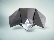 Labrador head
