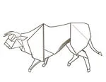 Bull