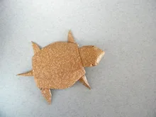 Turtle