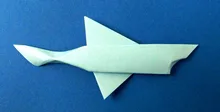 Shark