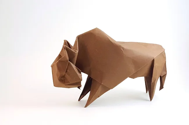 Bison