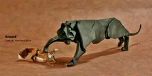 Black panther