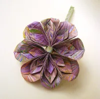 Compound flower