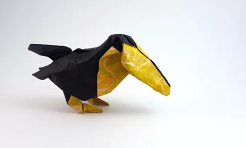 Toucan