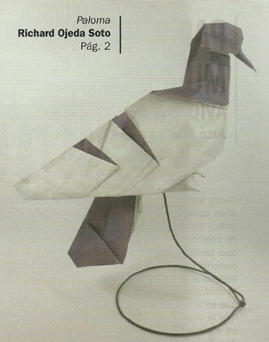 Pigeon