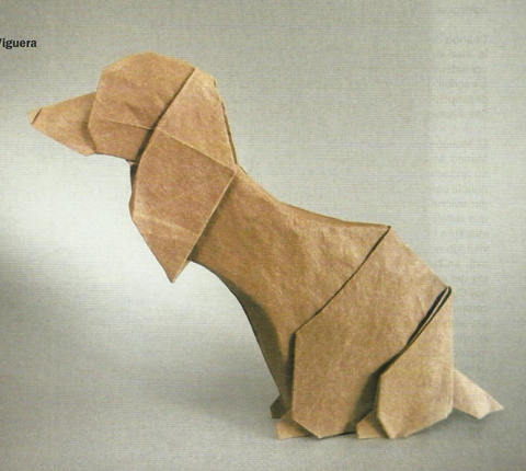 Dog - Zaida