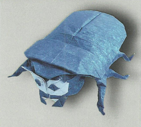 Scarab beetle