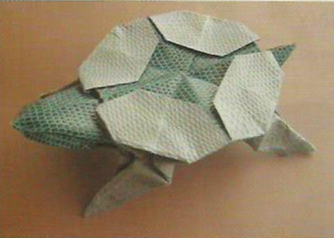 Turtle