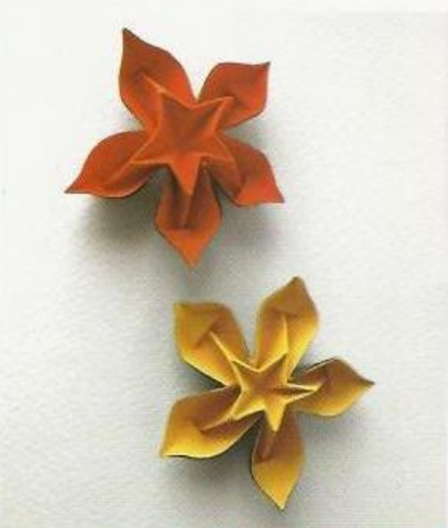 Heart-star flower