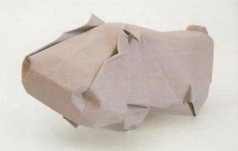 Hippopotamus