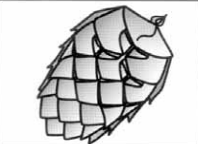 Pine cone