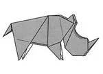 Rhinoceros