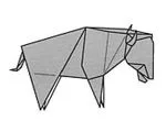 Bison