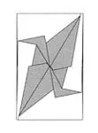 Crane tatou