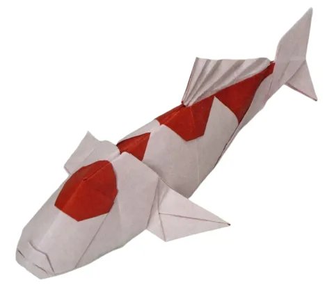 Nishikigoi