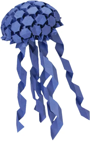 Jellyfish