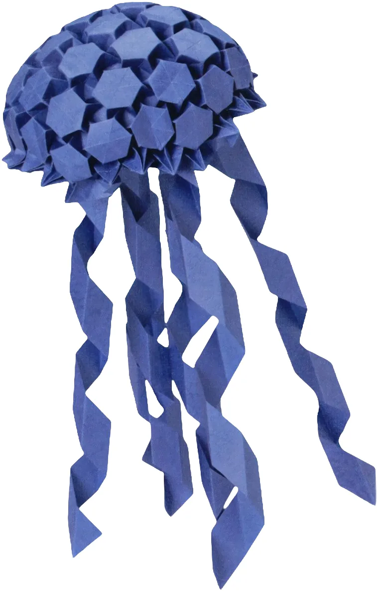 Jellyfish