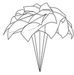 Peony