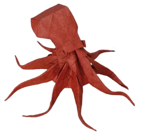 Octopus