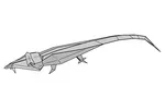 Crocodile
