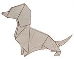 Dachshund