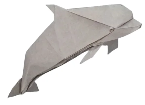 Dolphin