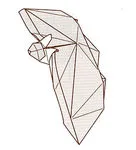 Bat