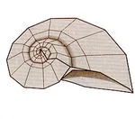 Snail shell