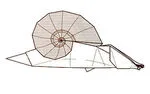 Snail