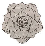 Rose - Miura-ken Beauty