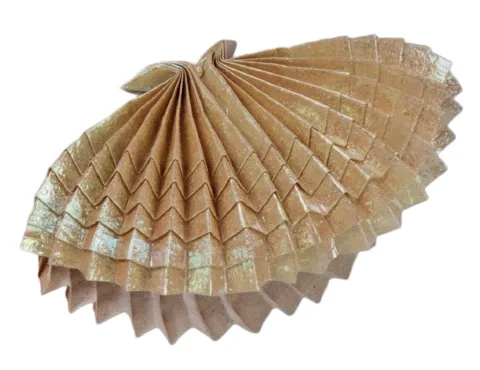 Bivalvia 2