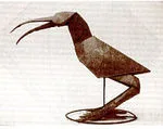 Curlew