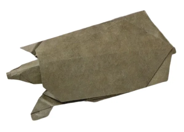 Soft-shelled turtle